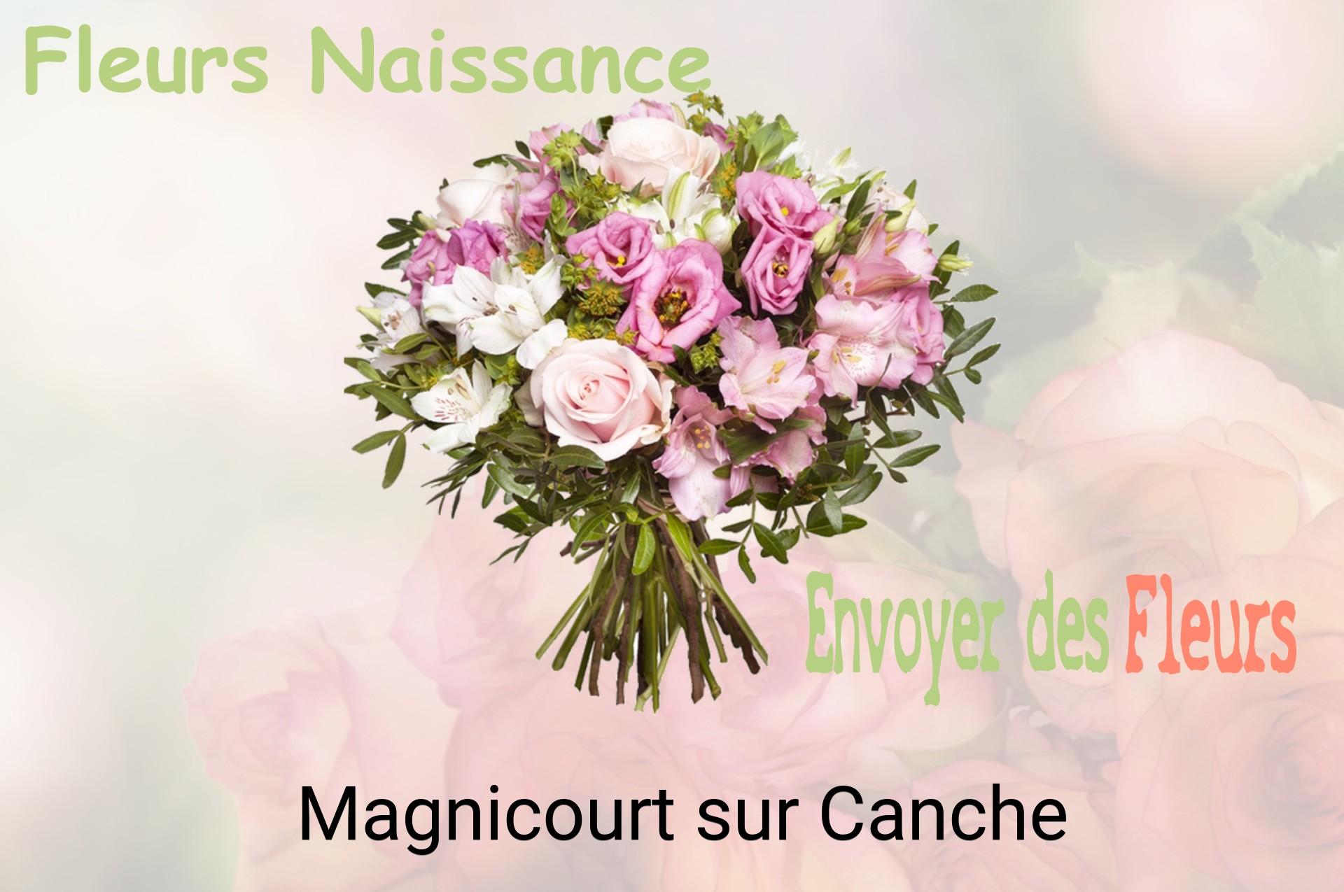 Bouquet de fleurs de naissance livré à Magnicourt-sur-Canche